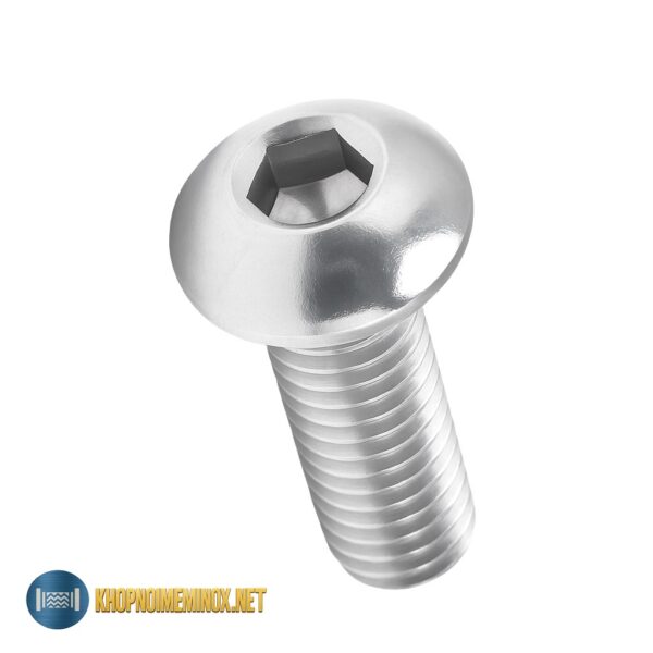 Bulong đầu dù inox – Inox 304/316 sáng bóng, thẩm mỹ