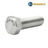 Bulong inox M10