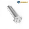 Bulong inox M6