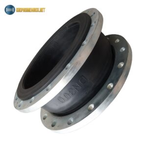 Khớp nối mềm cao su DN300