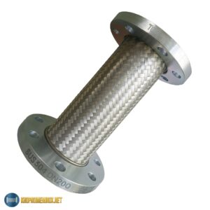 Khớp nối mềm inox DN200