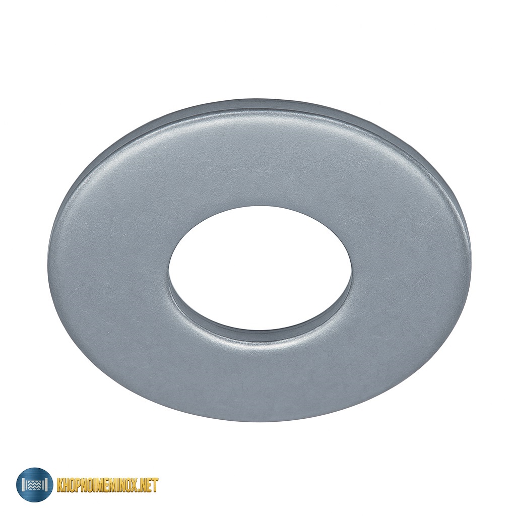 Long đền inox DIN9021