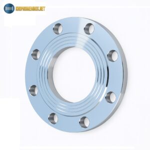 Mặt bích inox 316 BS