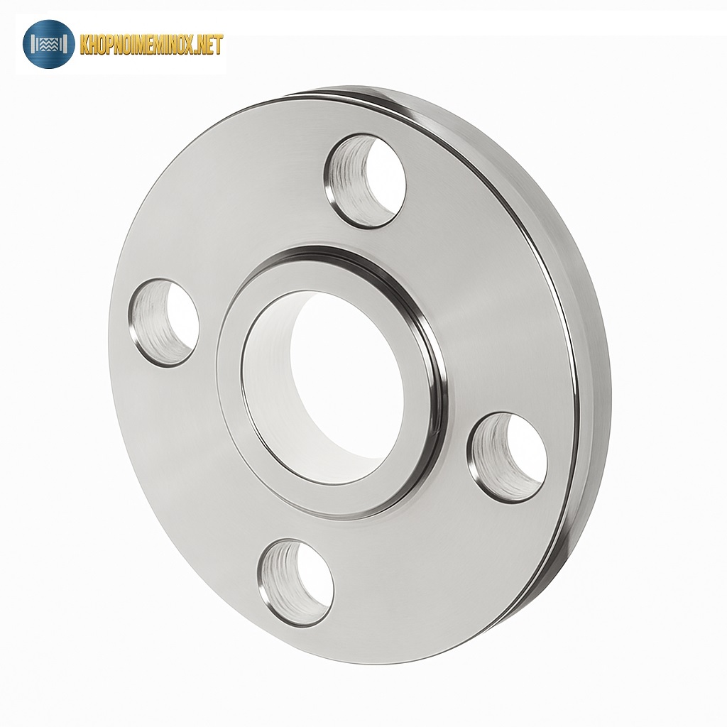 Mặt bích inox BS DN15