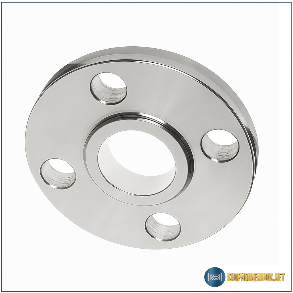 Mặt bích inox BS DN15