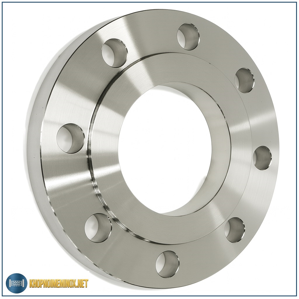 Mặt bích inox BS DN150