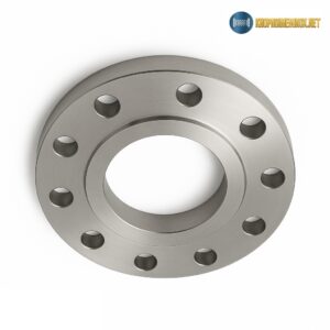 Mặt bích inox BS DN250