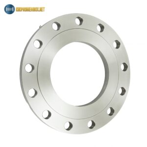 Mặt bích inox BS DN300