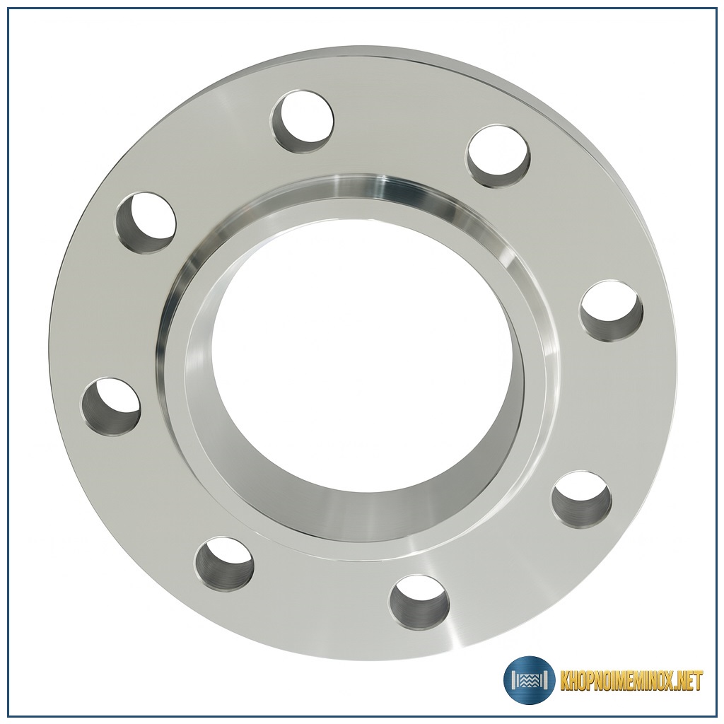 Mặt bích inox BS DN50