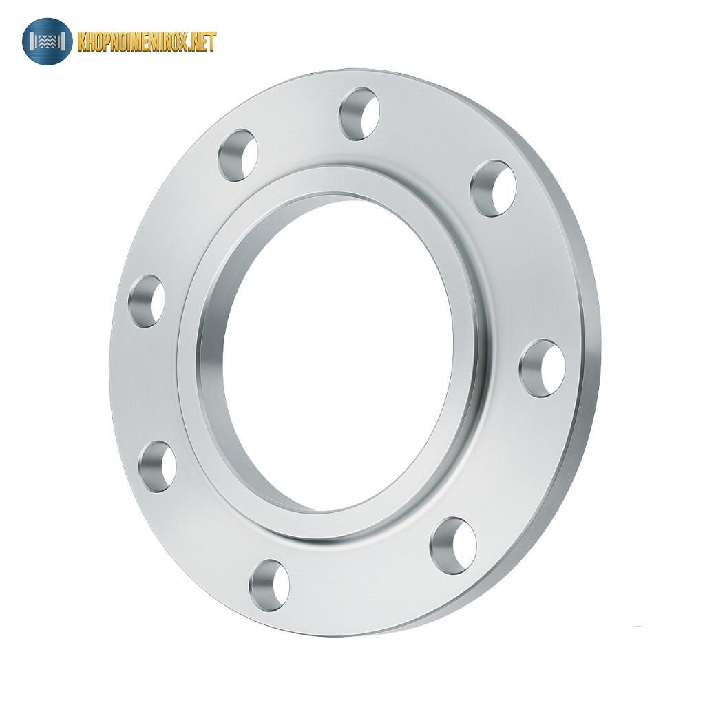 Mặt bích inox BS DN65
