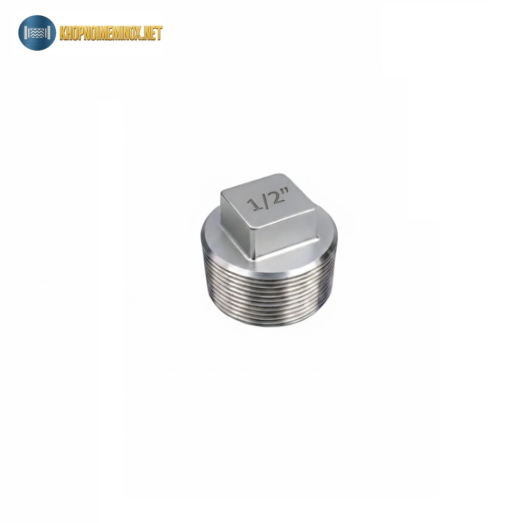 Nút bịt inox DN15