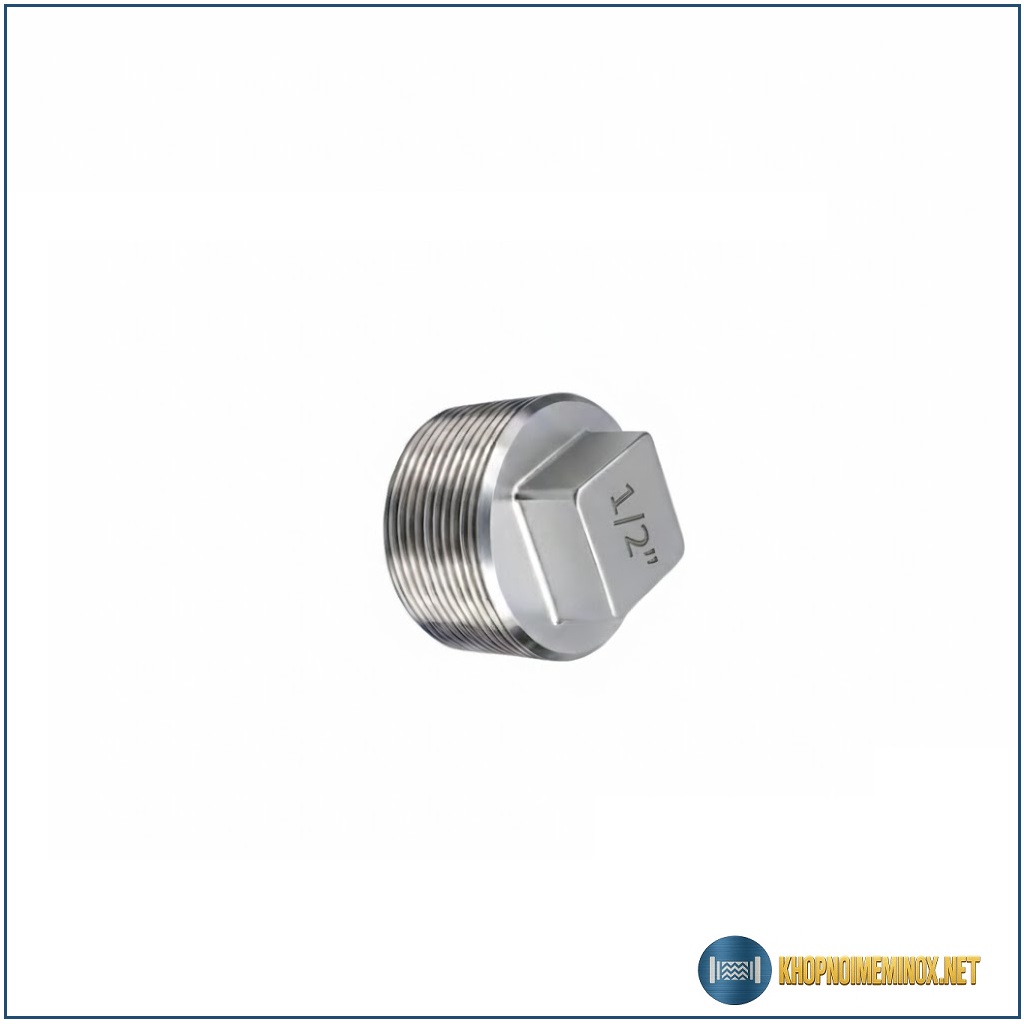 Nút bịt inox DN15