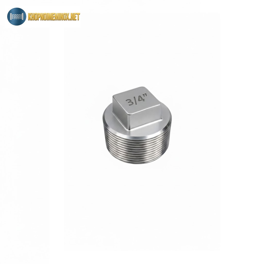 Nút bịt inox DN20