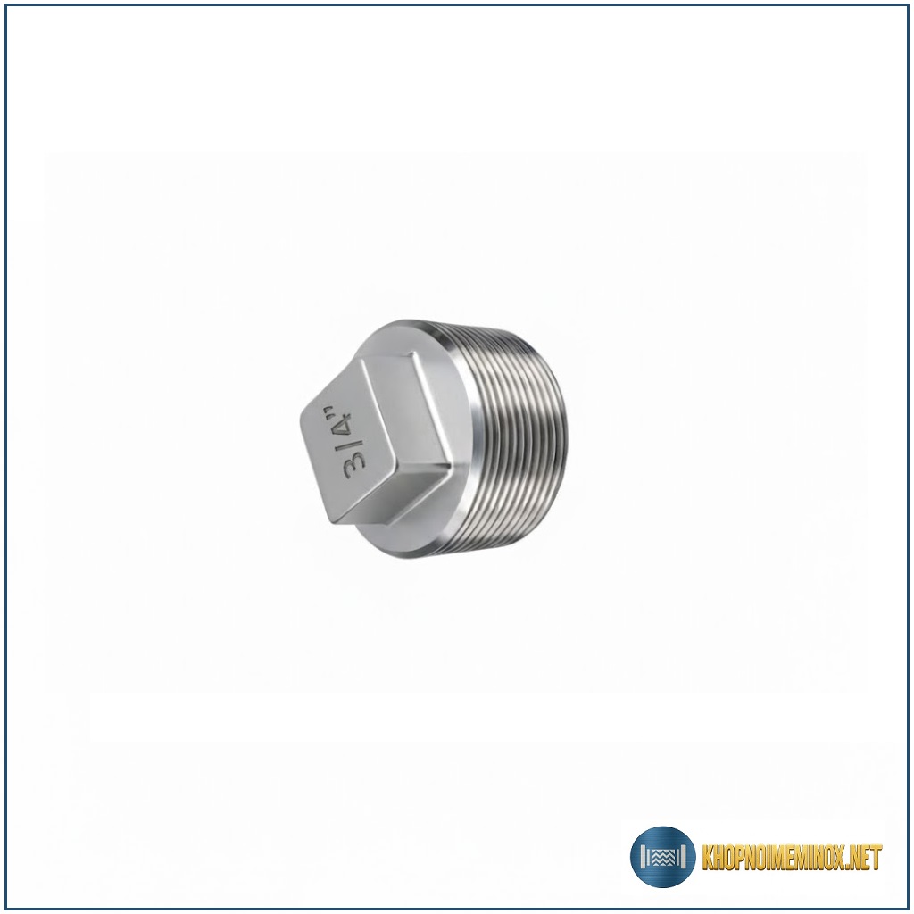 Nút bịt inox DN20