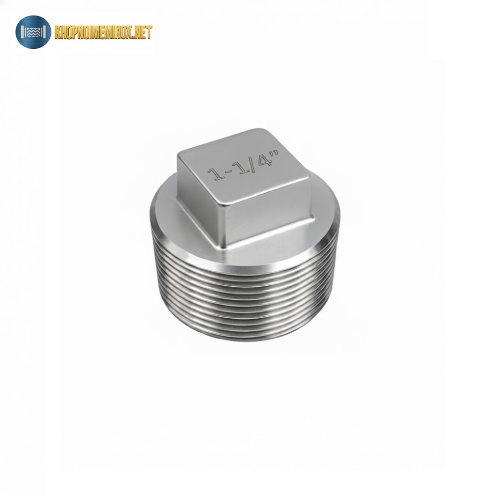 Nút bịt inox DN32