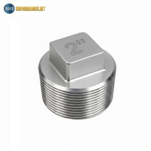 Nút bịt inox DN50