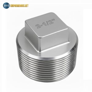 Nút bịt inox DN65
