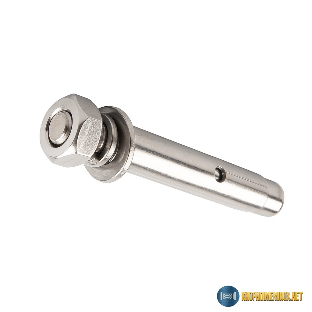 Tắc kê hóa chất inox