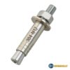 Tắc kê inox m12