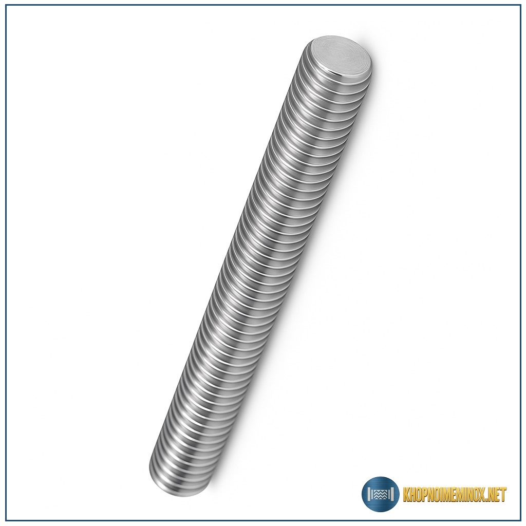 Ty ren inox m10