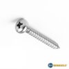 Vít đầu dù inox