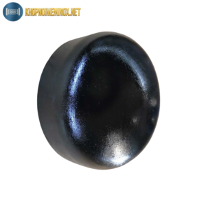 Đầu bịt ống thép DN250