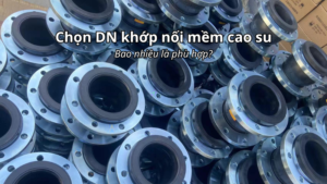 Chọn DN khớp nối mềm cao su bao nhiêu là đúng?