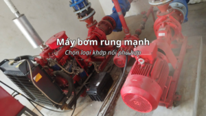 Máy bơm rung mạnh chọn khớp nối mềm cao su nào phù hợp