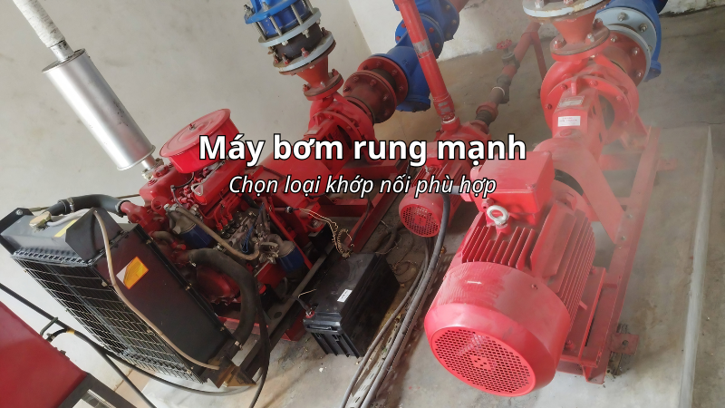Máy bơm rung mạnh chọn khớp nối mềm cao su nào phù hợp