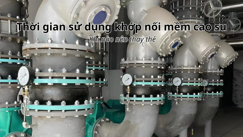 Thời gian thay khớp nối mềm cao su bao lâu là hợp lý