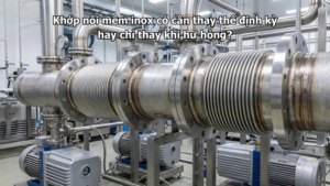 Khớp nối mềm inox có cần thay thế định kỳ hay chỉ thay khi hư hỏng?